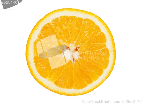 Image of Orange