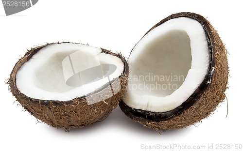 Image of Coconut