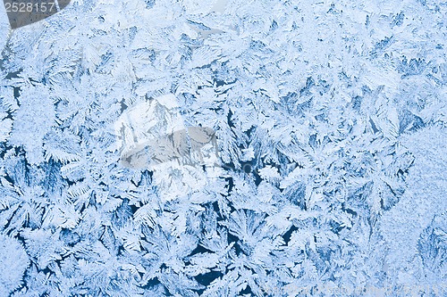 Image of Frost pattern