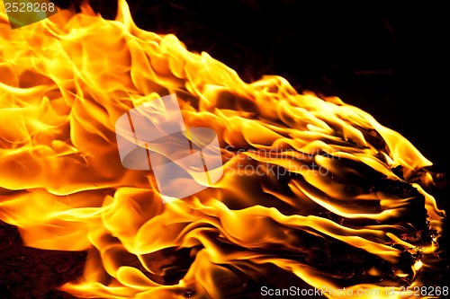Image of Fire