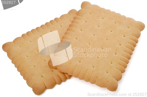 Image of biscuit