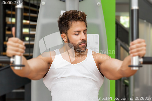 Image of bodybuilding man butterfly