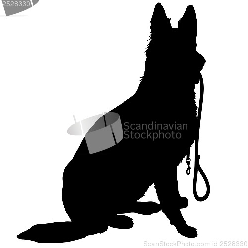 Image of Shepherd with Leash