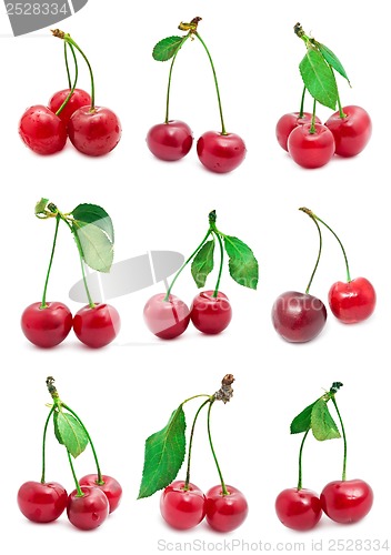 Image of Cherry