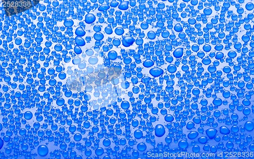 Image of Water drops