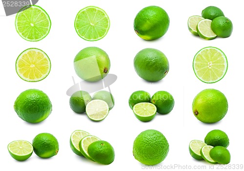 Image of Lime