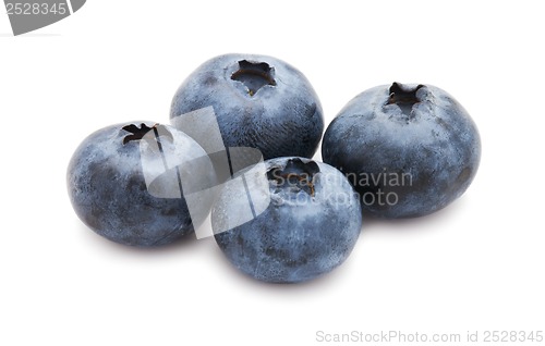 Image of Blueberry