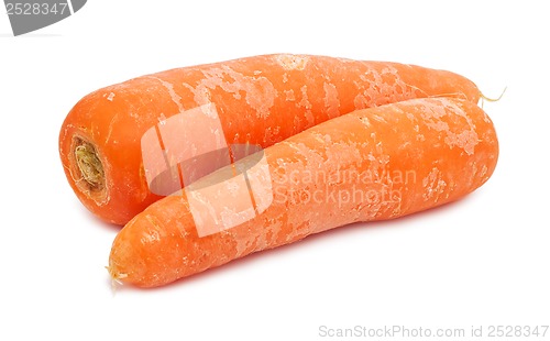 Image of Carrot