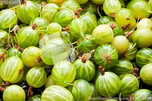 Image of Gooseberries