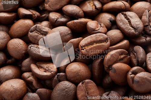 Image of Coffee beans