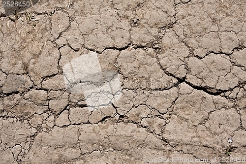 Image of Dry land