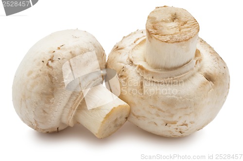 Image of Champignon mushrooms