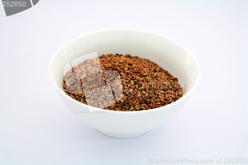 Image of Indian spices 2