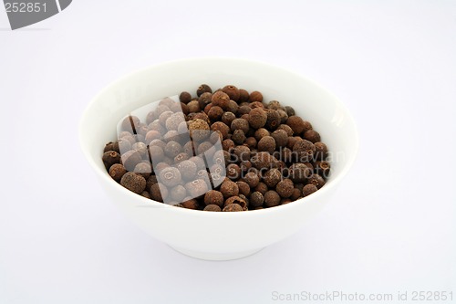 Image of Indian spices 3 allspice