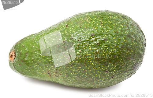 Image of Avocado