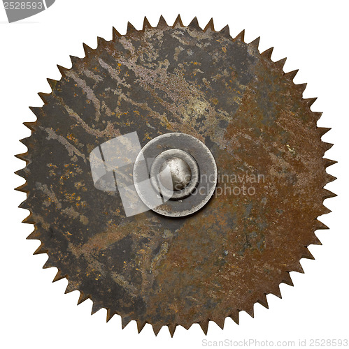 Image of Circular saw