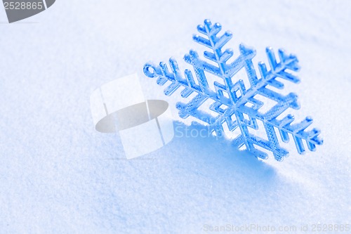 Image of Snowflake on the snow.