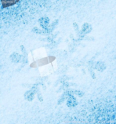 Image of Snowflake on the snow.