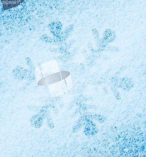 Image of Snowflake on the snow.