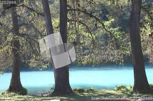 Image of River in Huasteca, Mexico