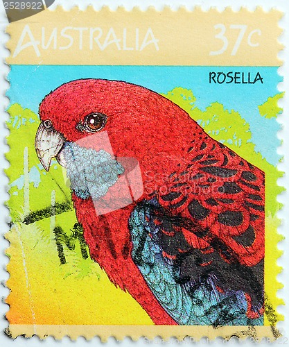 Image of Rosella Stamp