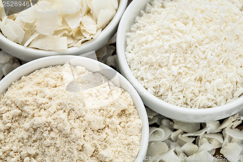 Image of coconut flour and flakes