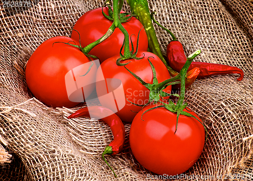 Image of Tomatoes and Chili Peppers