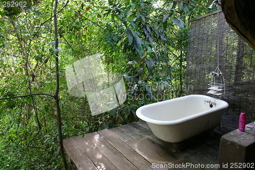 Image of Mexican jungle bath