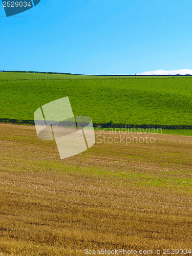 Image of Cardross hill panorama