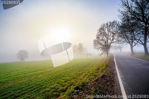 Image of rural foggy road going to the sunrise