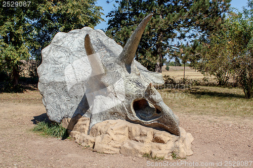 Image of Triceratops Fossil skeleton over natural background