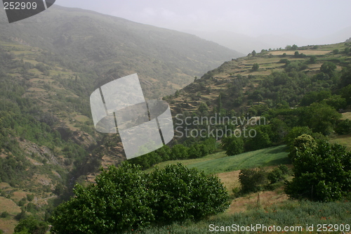 Image of Old terraces in Las Alpujarras, Spain