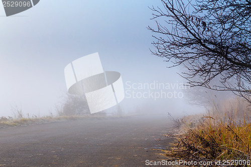 Image of Road going in to the fog