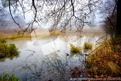 Image of The cool autumn morning at the pond