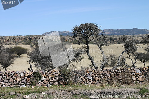 Image of Mexican landscape