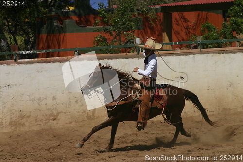 Image of Mexican charro