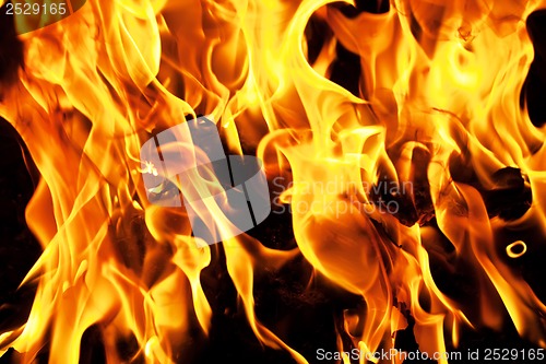 Image of Fire