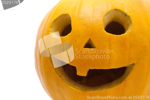 Image of Halloween pumpkin