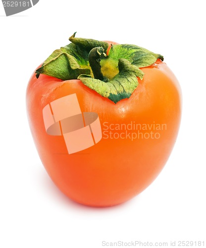 Image of Persimmon