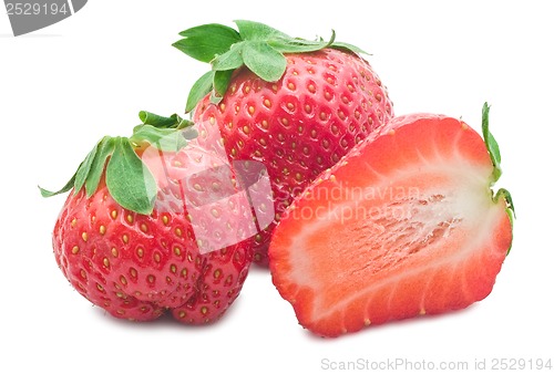 Image of Strawberry
