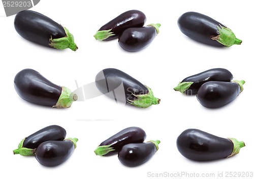 Image of Aubergine