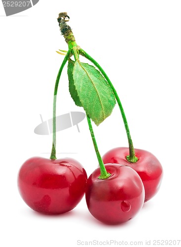 Image of Red cherry