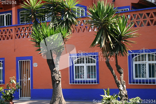 Image of Coyoacan, Mexico City