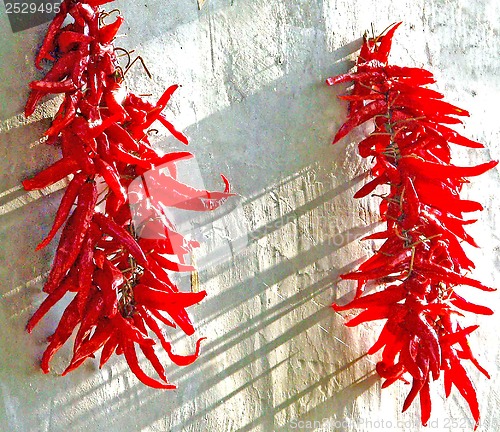 Image of chilies drying at a wall
