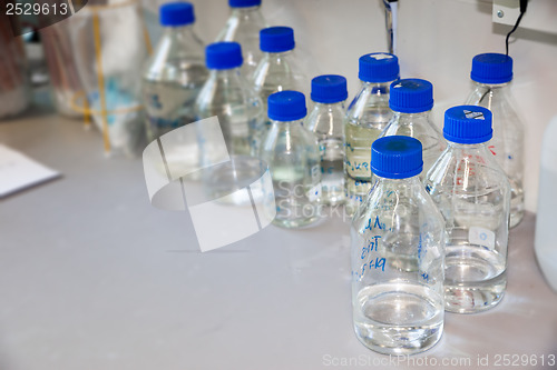 Image of laboratory bottles