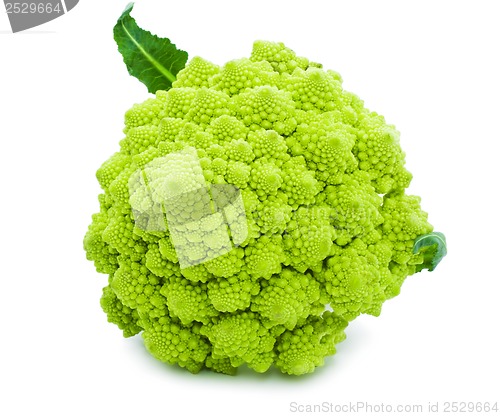 Image of Romanesco broccoli