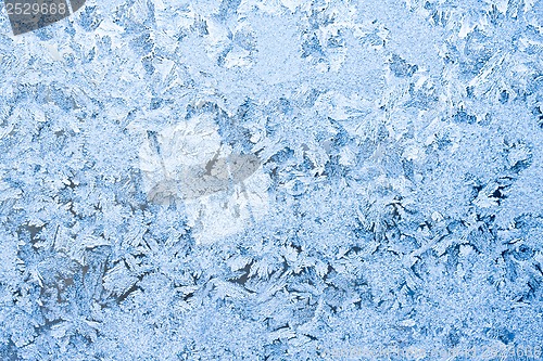 Image of Frost pattern