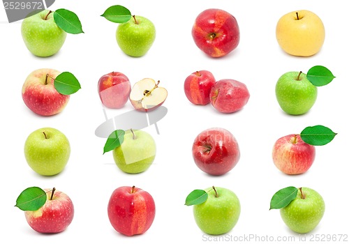 Image of Apples