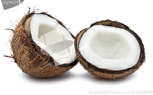 Image of Coconut