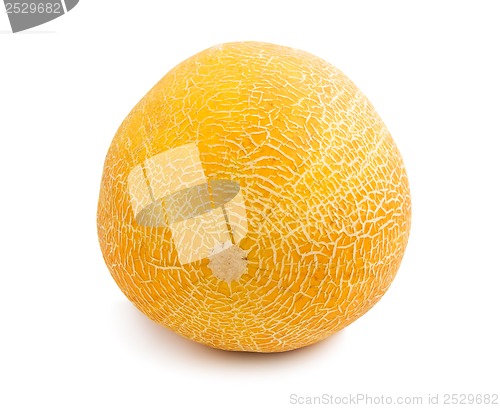 Image of Melon